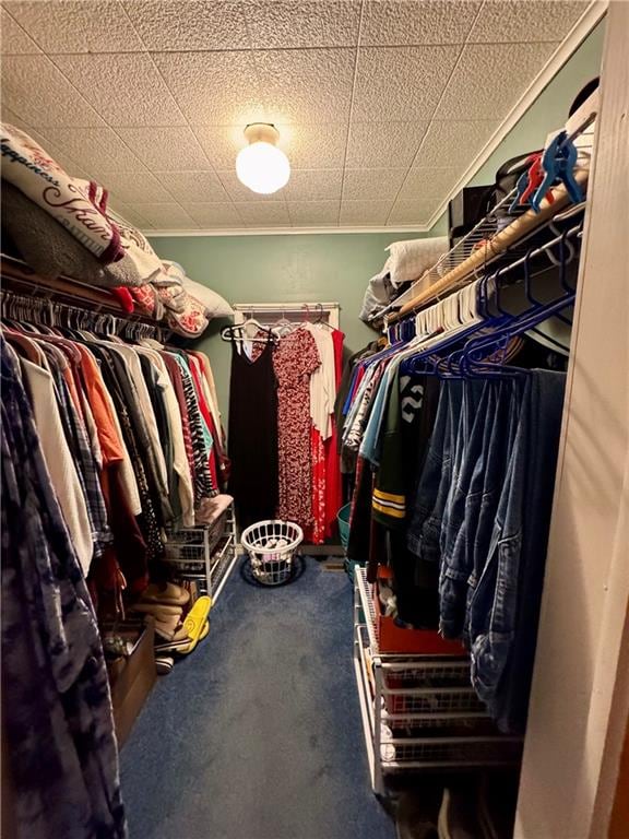 walk in closet with carpet floors