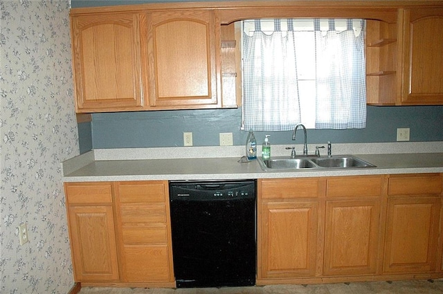 kitchen with dishwasher and sink