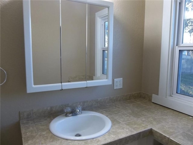 bathroom with vanity