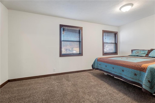 bedroom featuring multiple windows and carpet floors