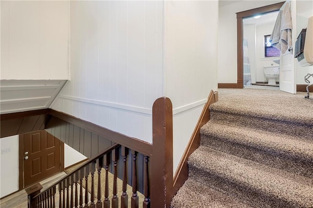 staircase featuring carpet floors