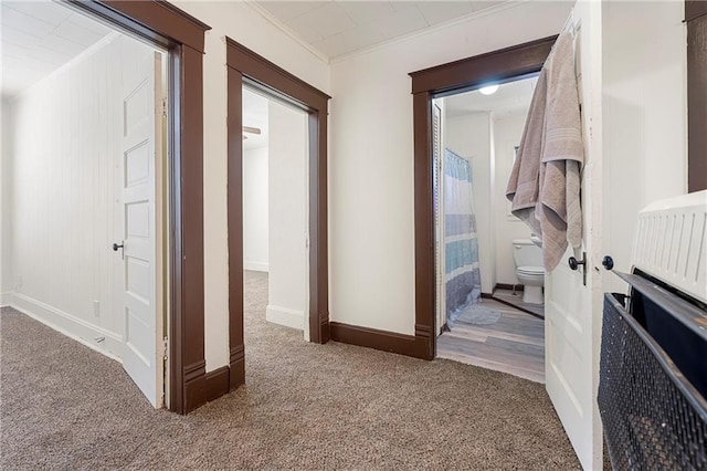 hallway featuring carpet floors and crown molding