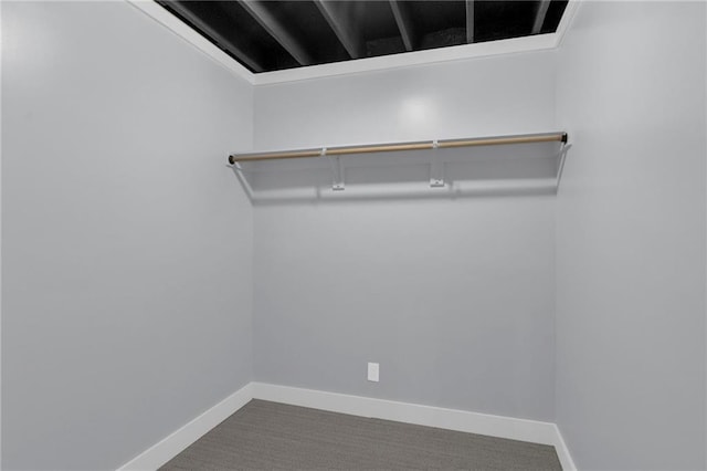 spacious closet featuring carpet floors