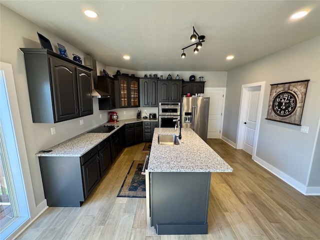 kitchen featuring appliances with stainless steel finishes, sink, light hardwood / wood-style flooring, and an island with sink