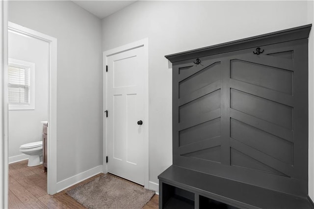 mudroom featuring hardwood / wood-style flooring