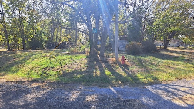 207 E 4th, Longton, KS 67352 - view of yard