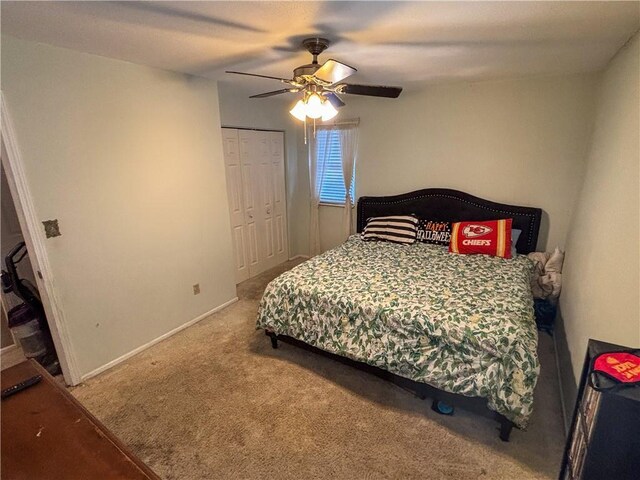 1917 SE Abbey St, Blue Springs, MO 64014 - photo 19