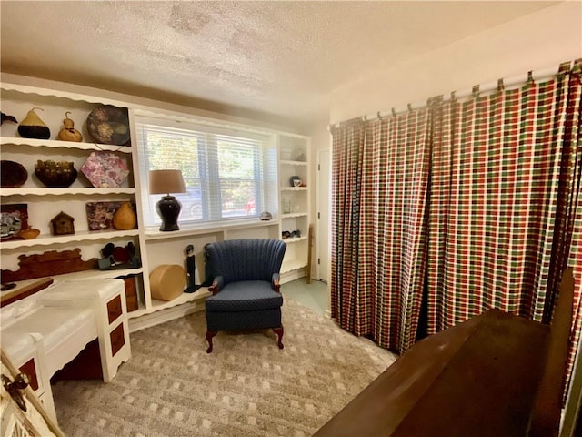 sitting room featuring light carpet and a textured ceiling