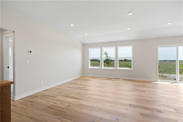 spare room with a wealth of natural light and light hardwood / wood-style flooring