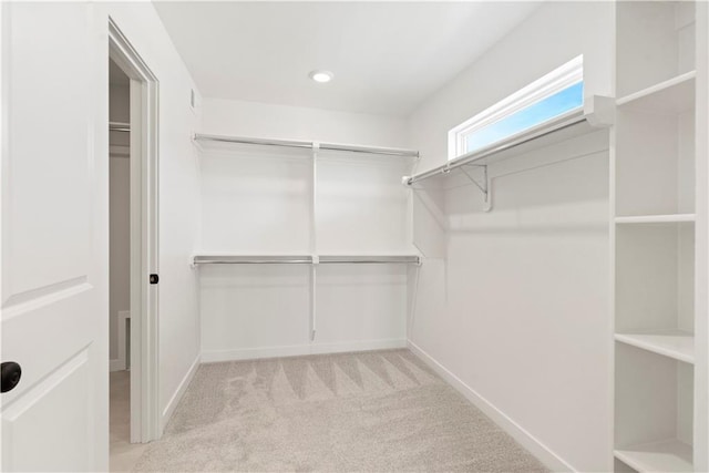 spacious closet featuring light colored carpet