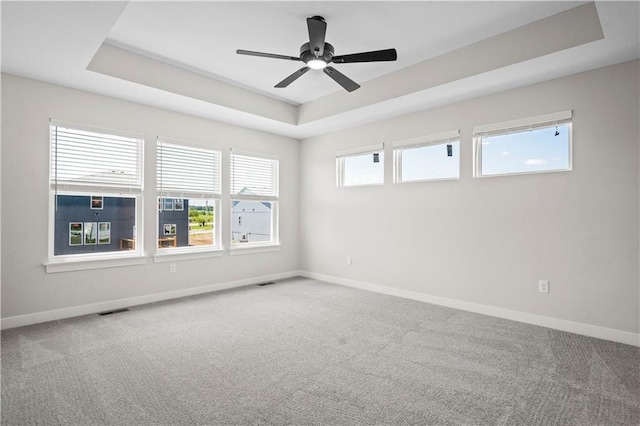 unfurnished room with a raised ceiling, a wealth of natural light, and carpet