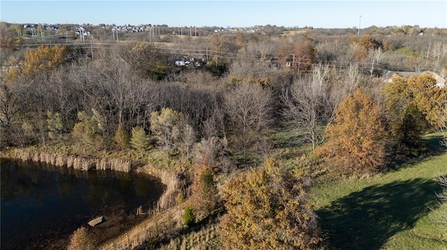 NE Barry Road, Kansas City, MO 64156 - photo 4