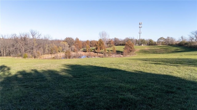 NE Barry Road, Kansas City, MO 64156 - photo 5