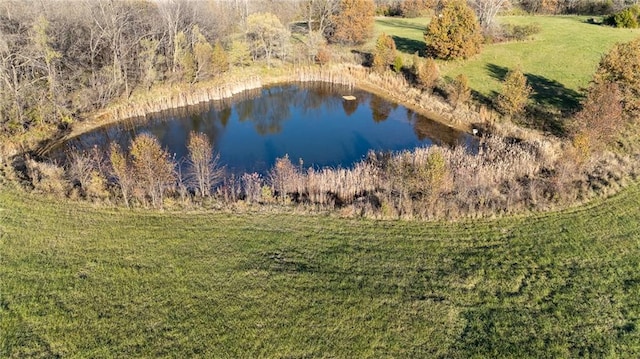 NE Barry Road, Kansas City, MO 64156 - photo 7