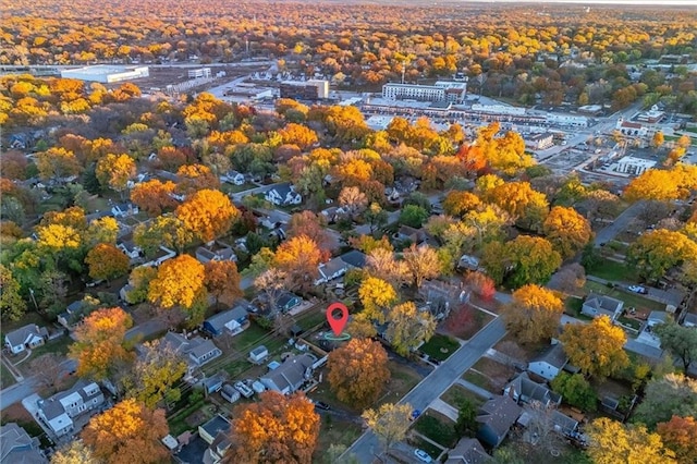 drone / aerial view