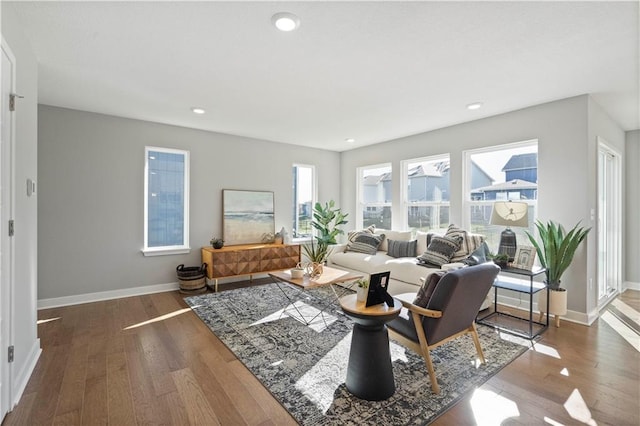 living room featuring wood-type flooring