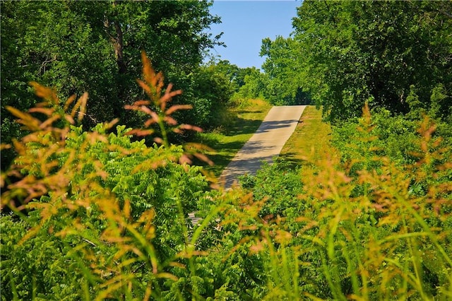 view of property's community