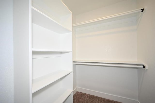 spacious closet with carpet floors