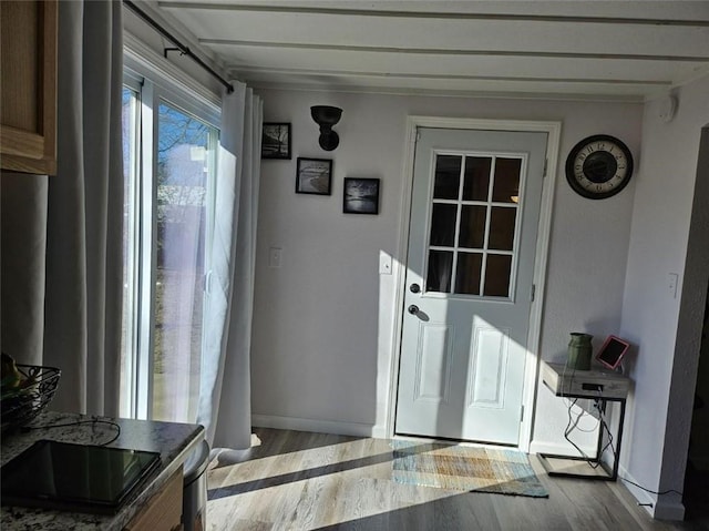 doorway to outside with light hardwood / wood-style flooring