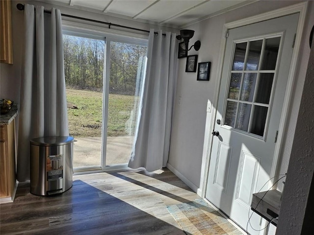 entryway featuring hardwood / wood-style floors