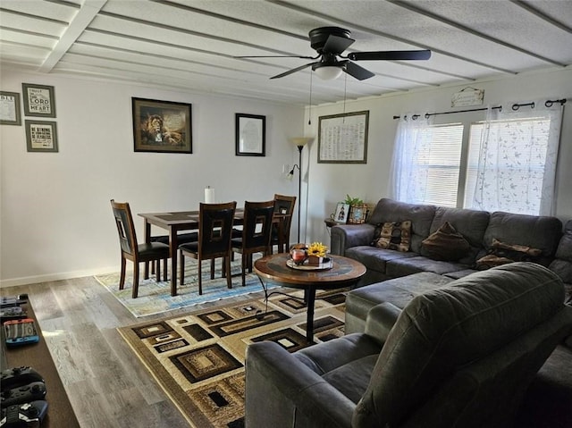624 E 10th St, Fort Scott, KS 66701 - living area featuring ceiling fan and wood finished floors