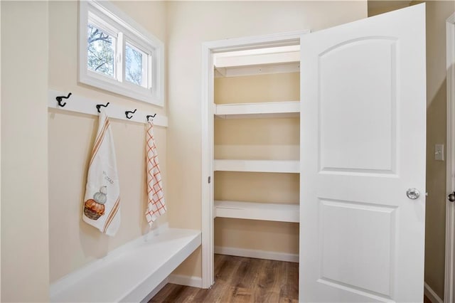 mudroom featuring hardwood / wood-style flooring