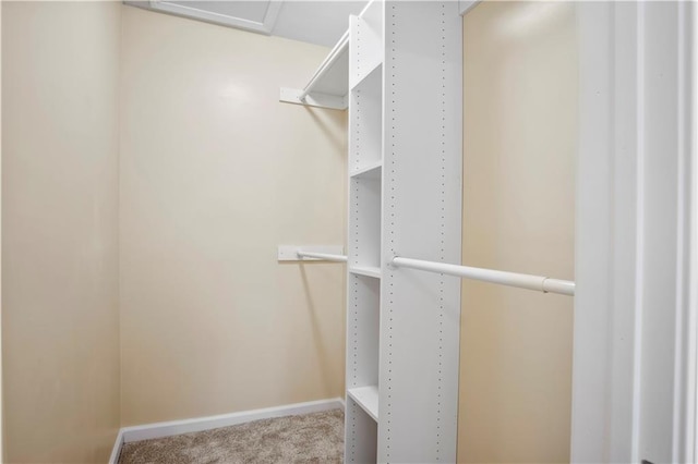 walk in closet with carpet