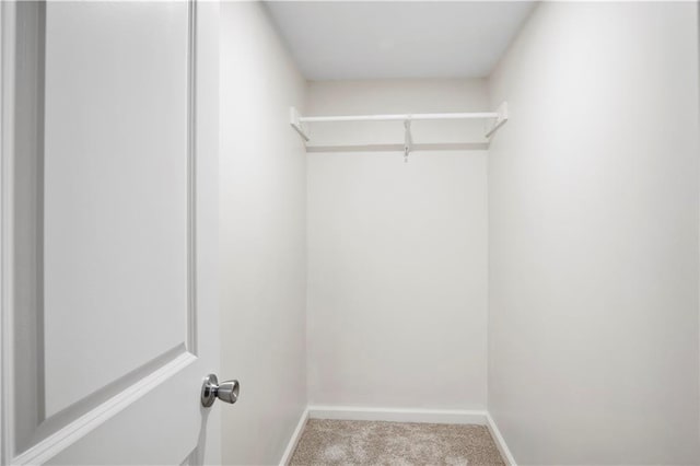 spacious closet with light colored carpet