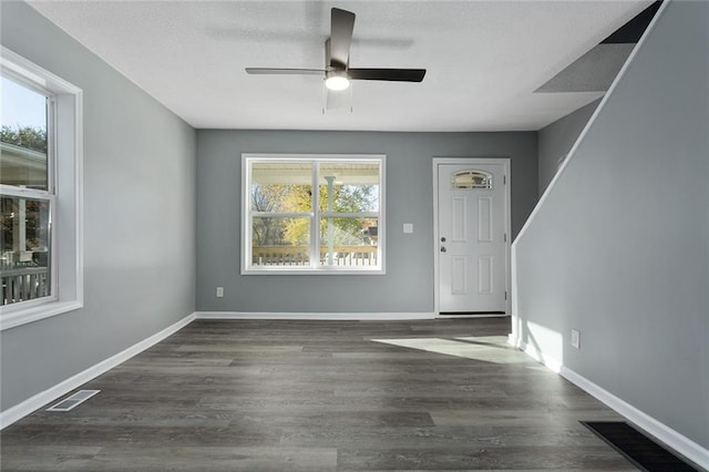 foyer entrance with plenty of natural light, dark hardwood / wood-style floors, and ceiling fan