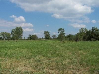 S 1610 Road, Nevada MO, 64772 land for sale