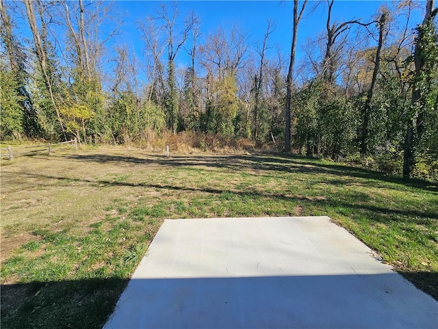 view of yard featuring a patio area