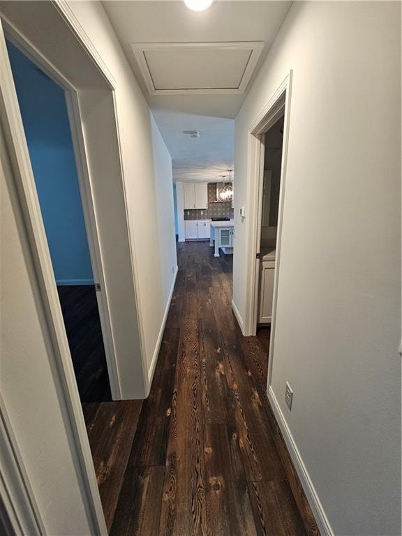 corridor featuring dark wood-type flooring