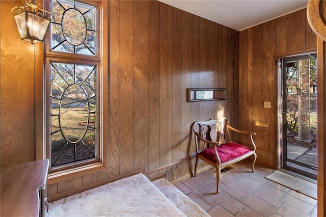 living area with wooden walls