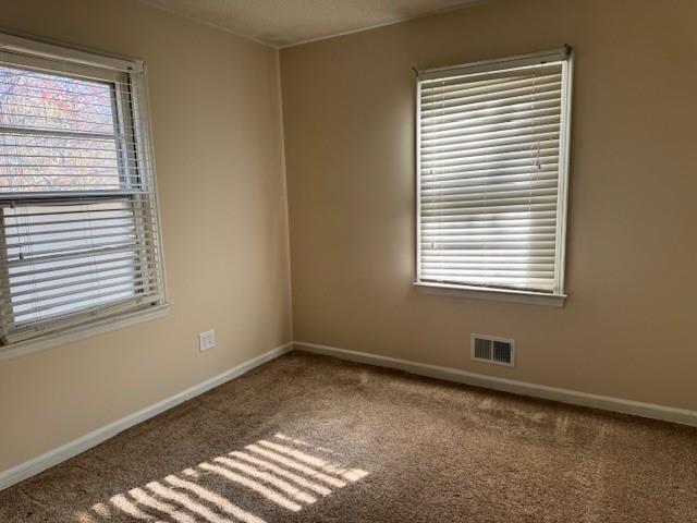 carpeted spare room featuring a wealth of natural light