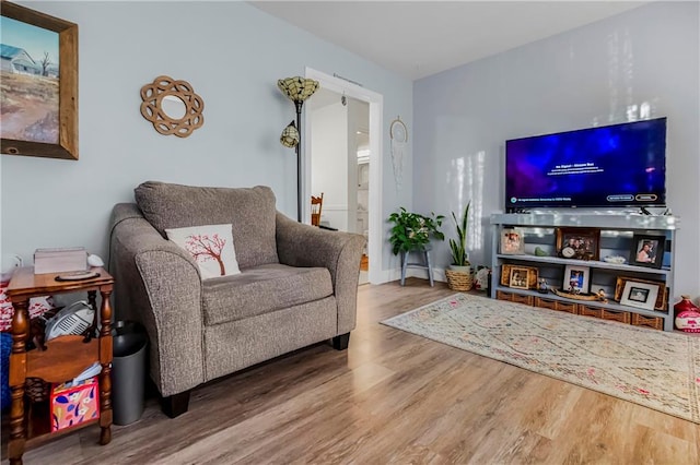 living room with wood-type flooring