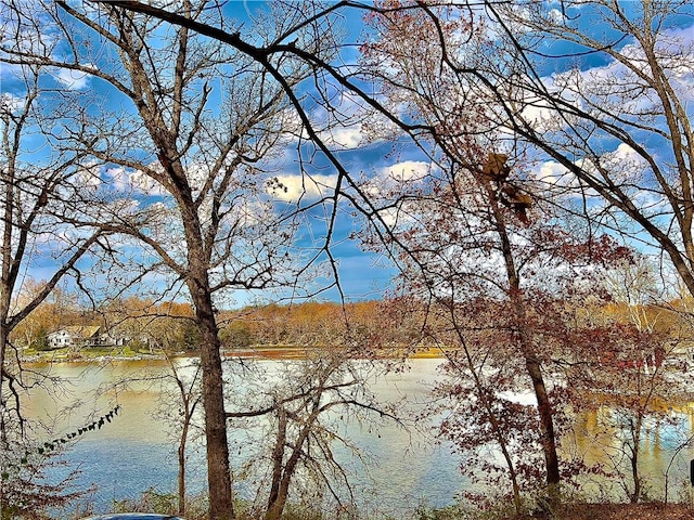 property view of water