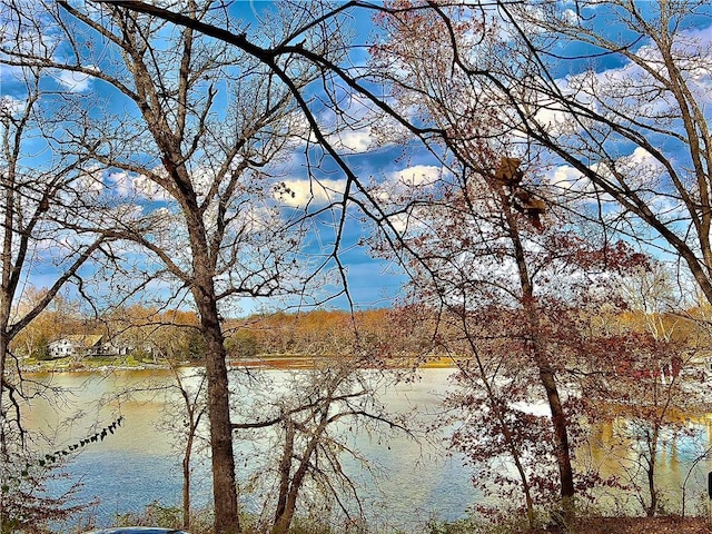 8401 E Lake View Dr, Freeman, MO 64746 - water view