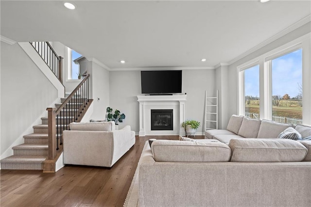 living room with crown molding and dark hardwood / wood-style floors