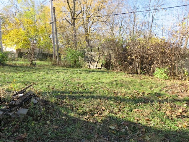 1002 S Haden St, Independence, MO 64050 - view of yard