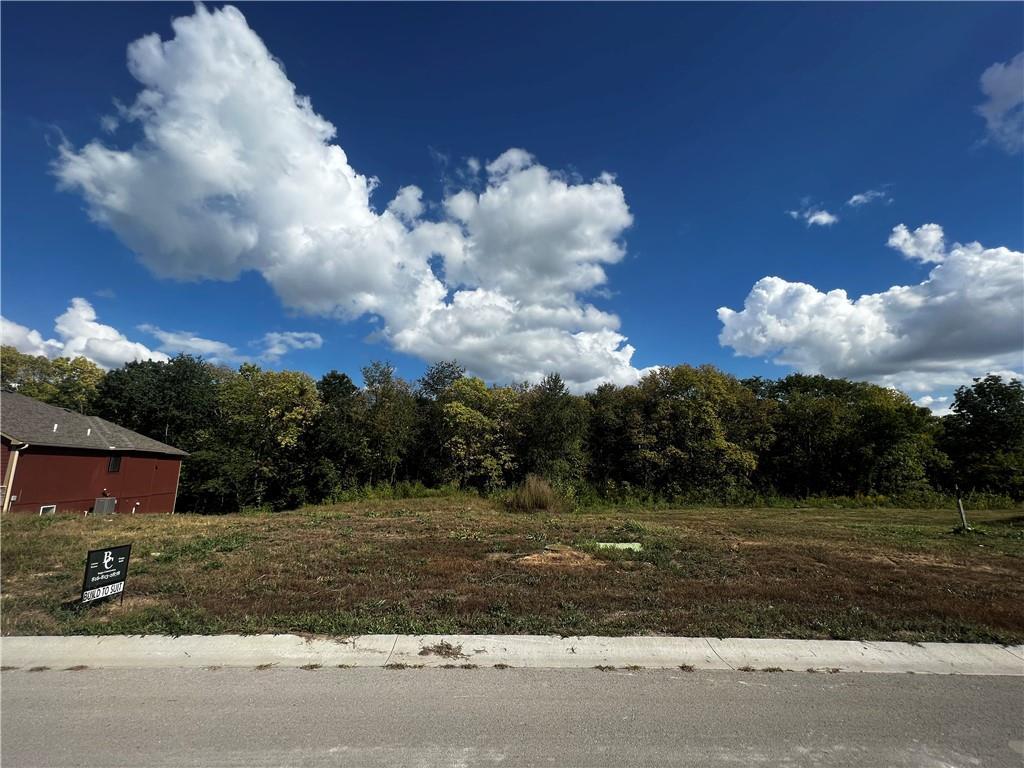 408 Ellas Way, Liberty, MO 64068 - photo 1