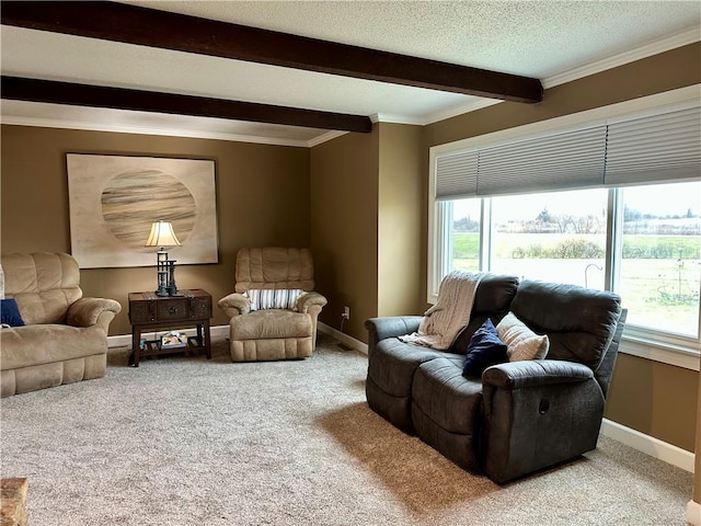 living room featuring carpet flooring, crown molding, and a textured ceiling