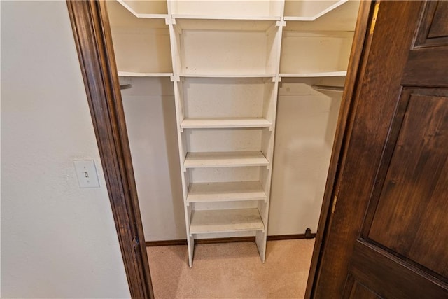 spacious closet with light carpet