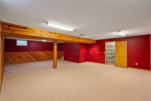 basement featuring carpet