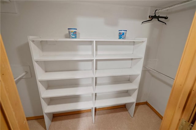 spacious closet featuring light carpet