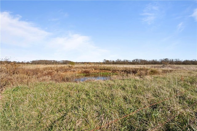 view of local wilderness with a rural view