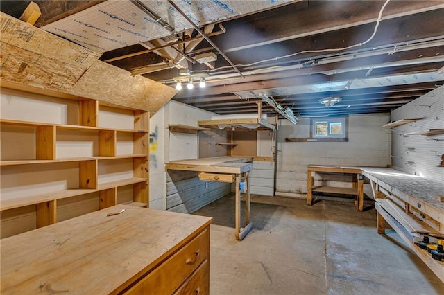 basement with a workshop area