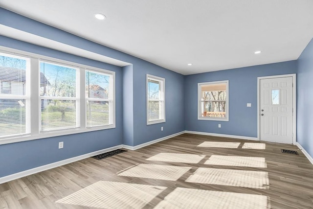 entryway with wood-type flooring and a wealth of natural light