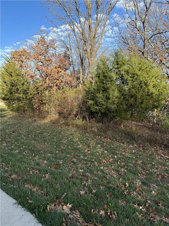 16505 Macallister Ct, Loch Lloyd, MO 64012 - photo 3