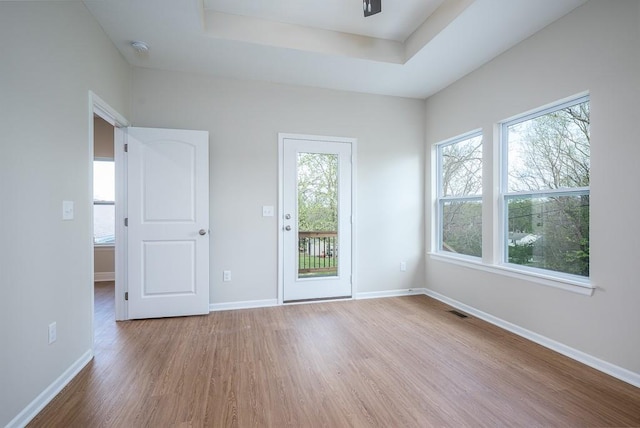 spare room with a raised ceiling and wood-type flooring