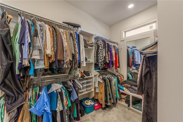 walk in closet featuring carpet floors